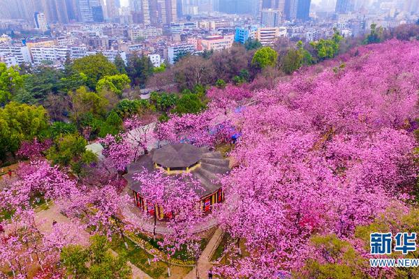 《梦幻西游》电脑版新资料片悬念站带你开启寻宝之旅